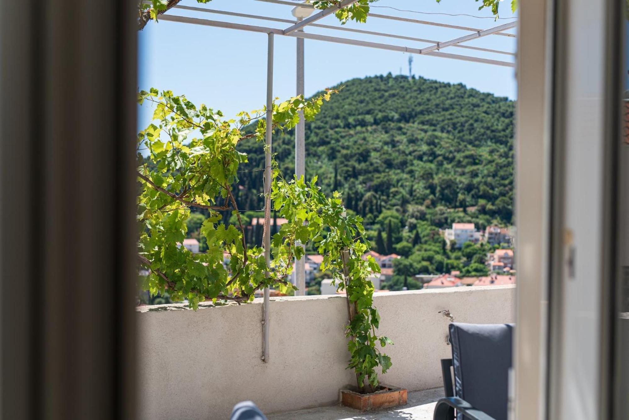 Guesthouse Niko Dubrovnik Kültér fotó
